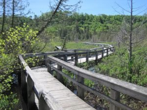 Why You Should Consider Buying a Home in West Bloomfield MI