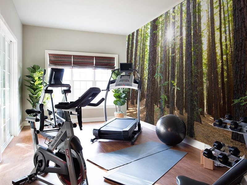 Home Fitness Space What is Motivating Americans to Move and Buy Homes Right Now?